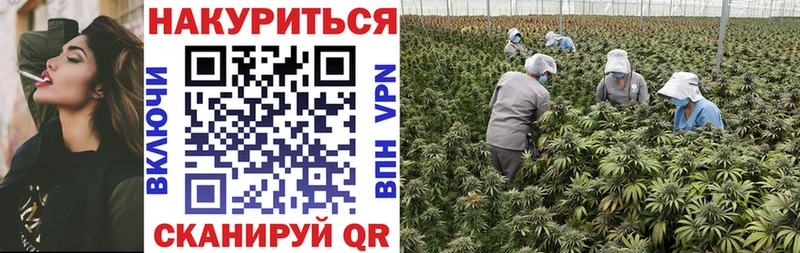 Купить где  Сольцы  Бошки марихуана Ganja 